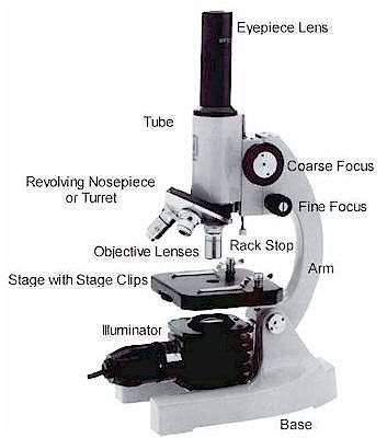 http://www.microscope-microscope.org/images/BWScope.jpg