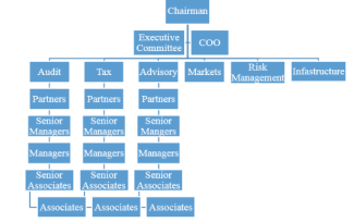 Kpmg Organizational Structure Chart