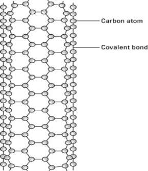 A carbon nanotube.
