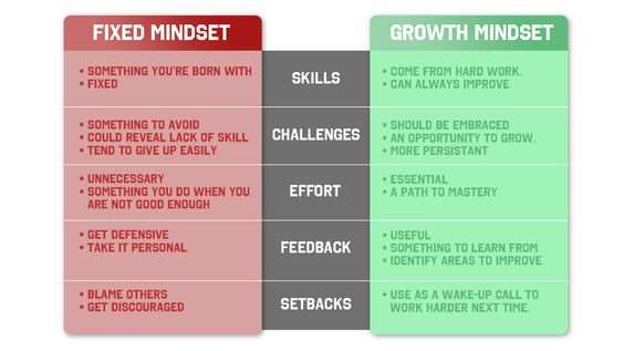 Carol Dweck Mindset - The New Psychology of Success: