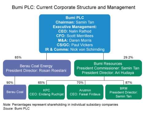 bumi plc bumi resources