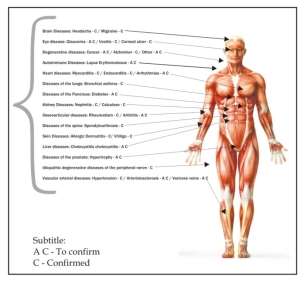 Quadro%20humano%20ingles.jpg