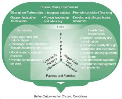 Image result for Innovative Care for Chronic Conditions: Building Blocks for Action. Geneva: World Health Organisation, 2002.