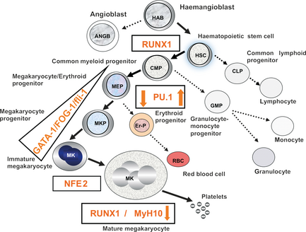 Figure1.