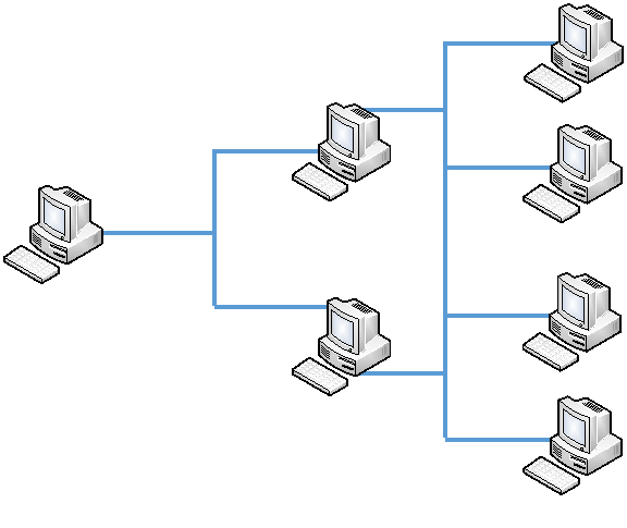 An Overview of Network Topologies