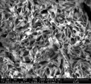 Pellet Catalyst Development Using Ferroxcube Process