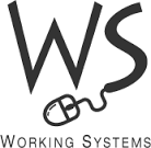 Image result for working systems