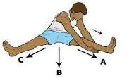 Image result for seated v stretch