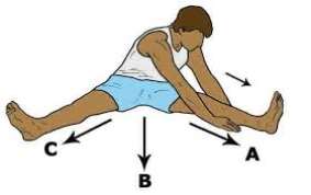 Image result for seated v stretch