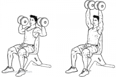 Image result for shoulder press diagram