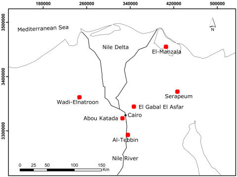 Genetic Variability of Grasshopper Populations | CustomWritings