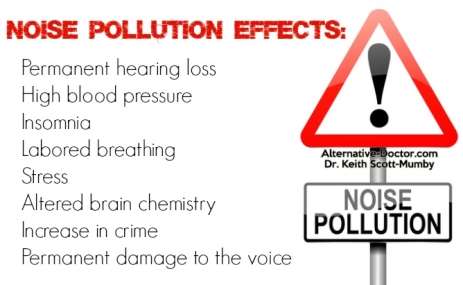 harmful effects of noise pollution on human body