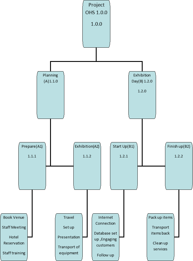 Ohs Organisation Chart