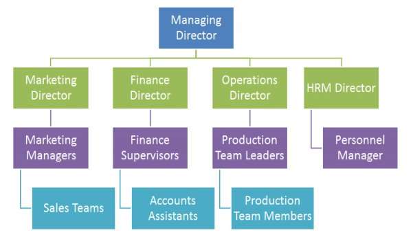 Boots Organisational Structure Chart