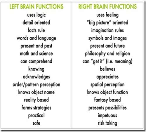 C:UsersBrennanCGoogle DriveCTMFright left brain functions facts - fun pictures.jpg
